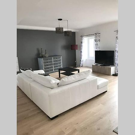 Annonay Centre, Grand Appartement Cosy, 3 Chambres Εξωτερικό φωτογραφία