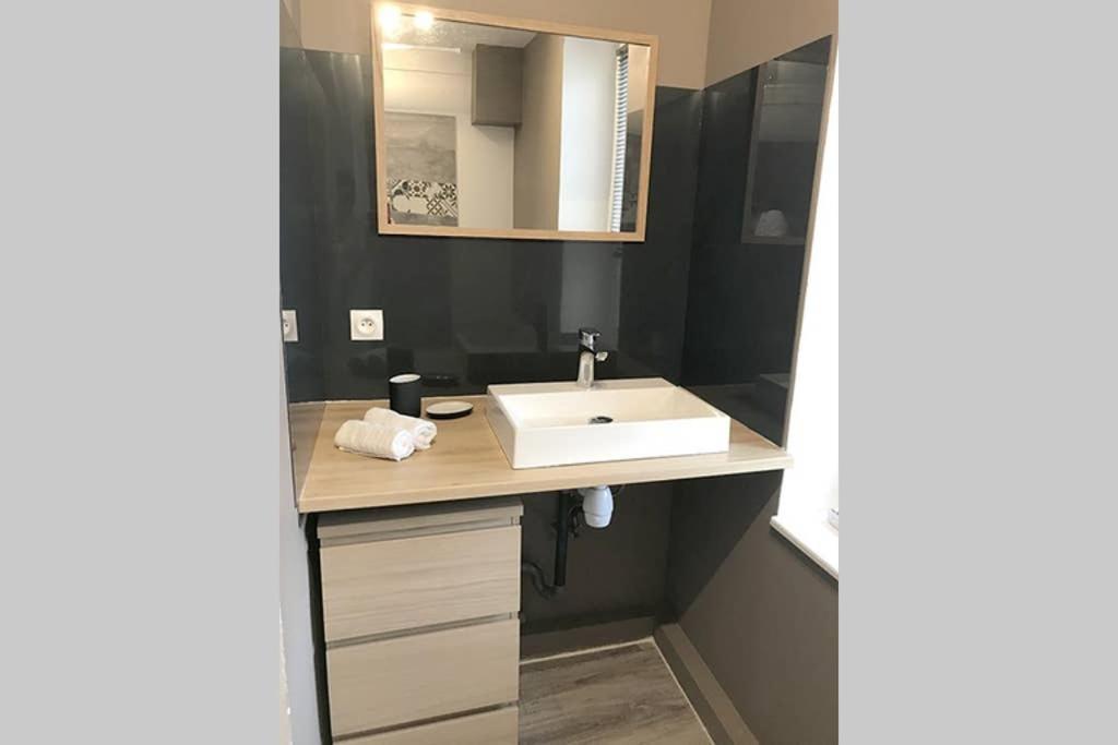 Annonay Centre, Grand Appartement Cosy, 3 Chambres Εξωτερικό φωτογραφία