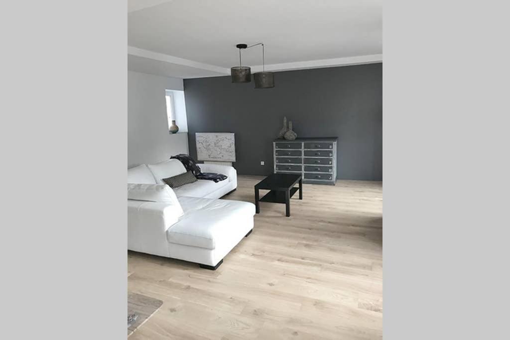 Annonay Centre, Grand Appartement Cosy, 3 Chambres Εξωτερικό φωτογραφία